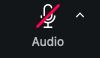 Zoom interface audio (Desktop)