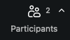 Zoom interface participants (Desktop)