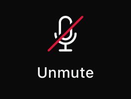 Zoom interface audio (Mobile)