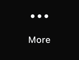 Zoom interface more (Mobile)