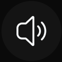 Zoom interface speaker toggle (Mobile)